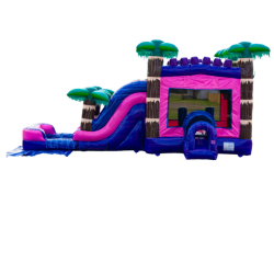 pink20castle20 209 1726502794 Pink Tropical Conbo